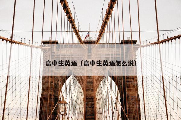 高中生英语(高中生英语怎么说)
