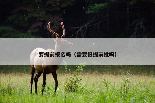 要提前报名吗(需要报提前批吗)