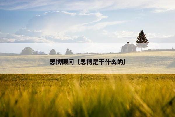 思博顾问(思博是干什么的)