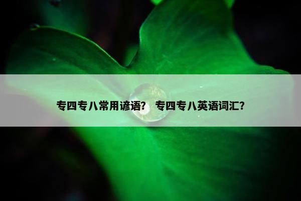 专四专八常用谚语? 专四专八英语词汇?