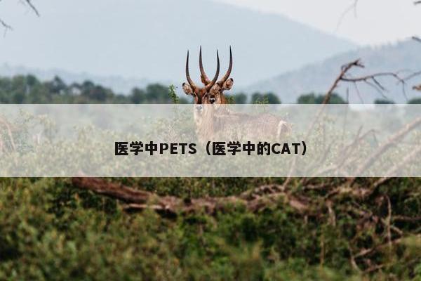 医学中PETS(医学中的CAT)