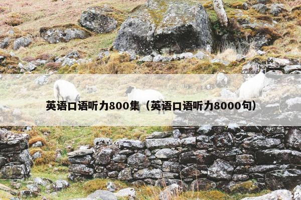 英语口语听力800集(英语口语听力8000句)