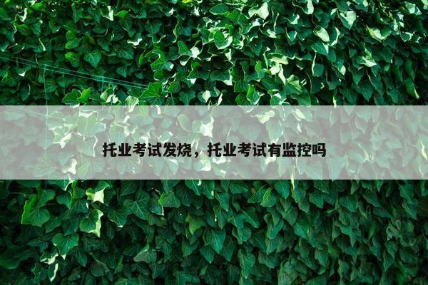 托业考试发烧,托业考试有监控吗