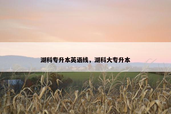 湖科专升本英语线,湖科大专升本