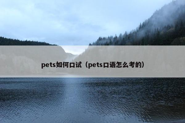 pets如何口试(pets口语怎么考的)