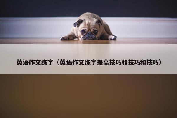 英语作文练字(英语作文练字提高技巧和技巧和技巧)