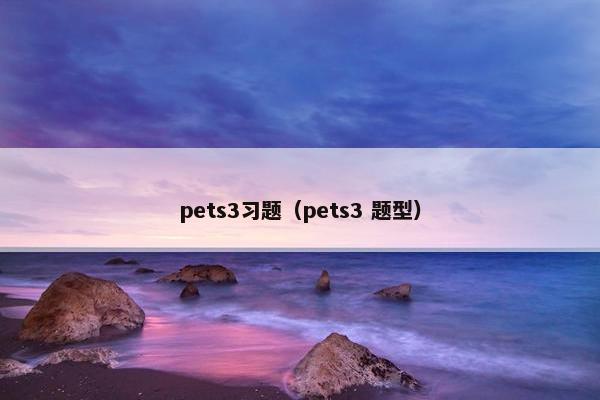 pets3习题(pets3 题型)