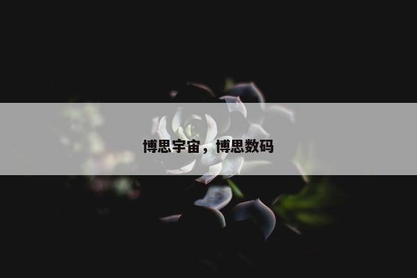 博思宇宙,博思数码