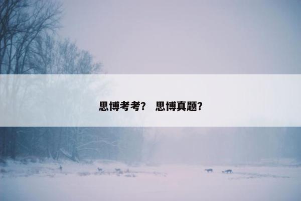 思博考考? 思博真题?