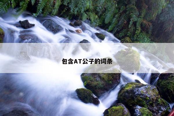 包含AT公子的词条