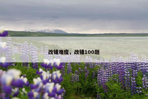 改错难度，改错100题