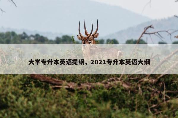 大学专升本英语提纲,2021专升本英语大纲