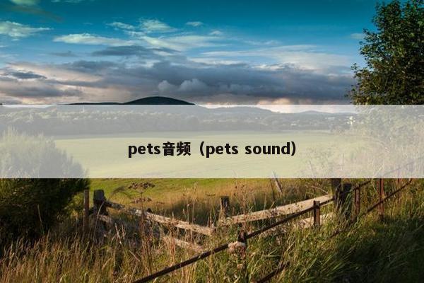 pets音频(pets sound) pets音频(pets sound)