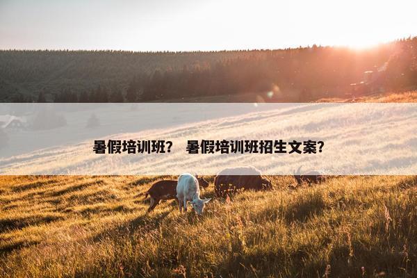 暑假培训班? 暑假培训班招生文案?