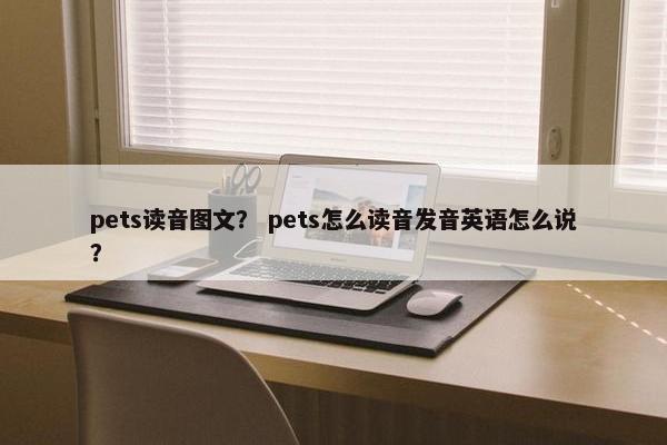 pets读音图文？ pets怎么读音发音英语怎么说？