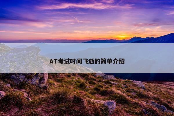 AT考试时间飞逝的简单介绍