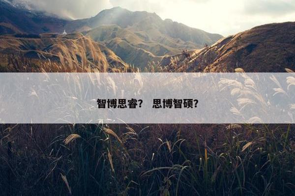 智博思睿？ 思博智硕？